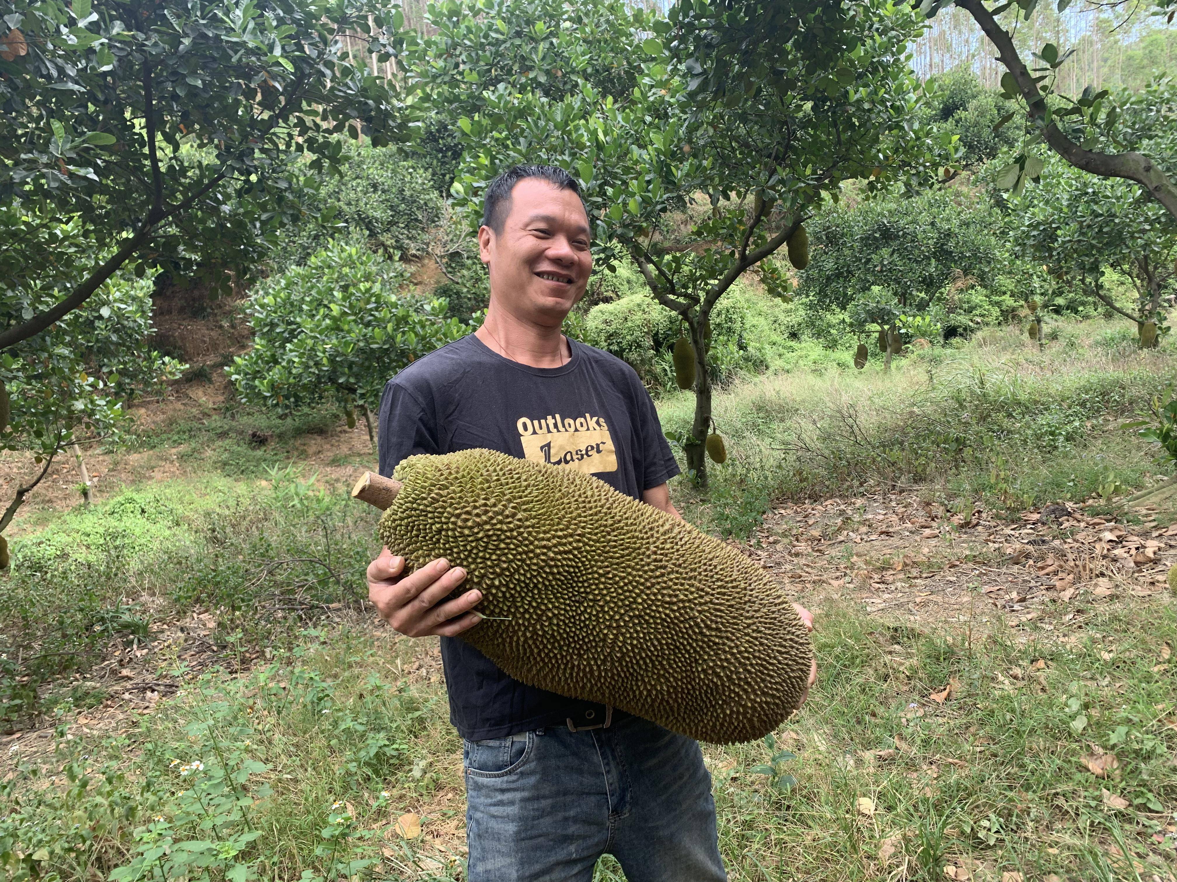 菠萝菠萝蜜视频-免费观看3菠萝菠萝蜜视频 - 免费观看的乐趣与探索