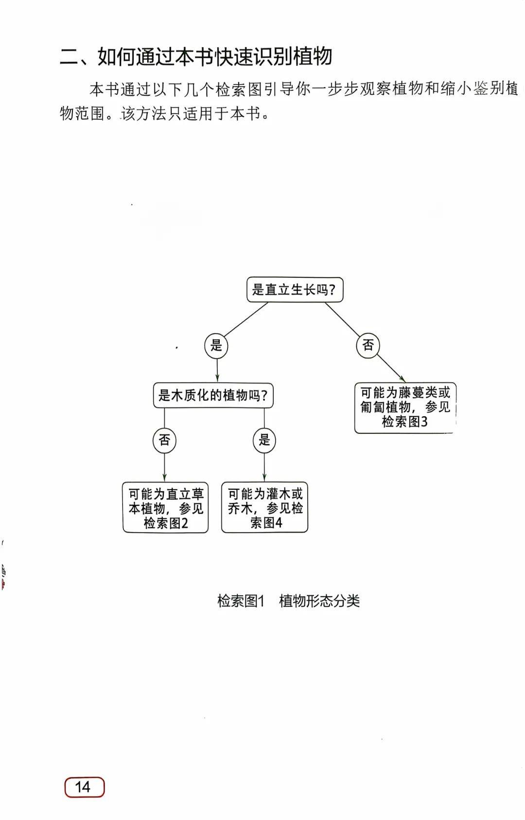 鸣草采集路线鸣草，自然的乐章与生命的启示