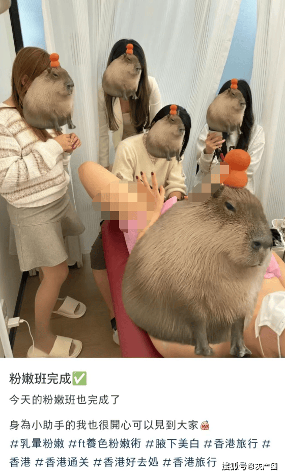 粉嫩小馒头泬90P粉嫩小馒头的魅力——90P的独特体验
