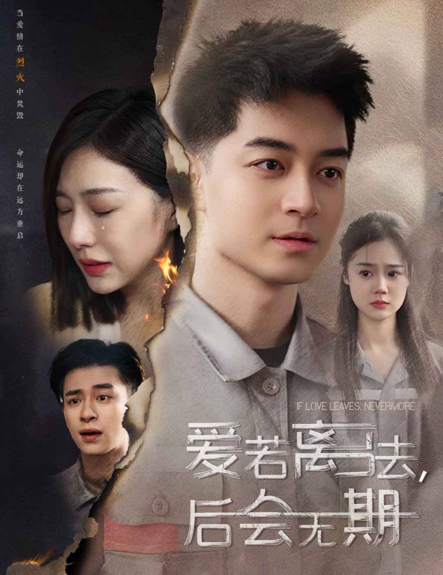 月夜直播免费完整版下载，畅享高清直播新体验-第2张图片