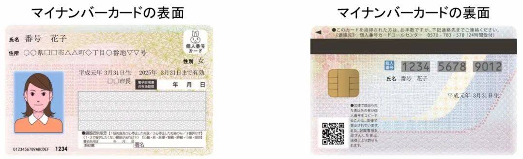 四虎2021年紧急入口四虎最新紧急更新地址指南-第1张图片