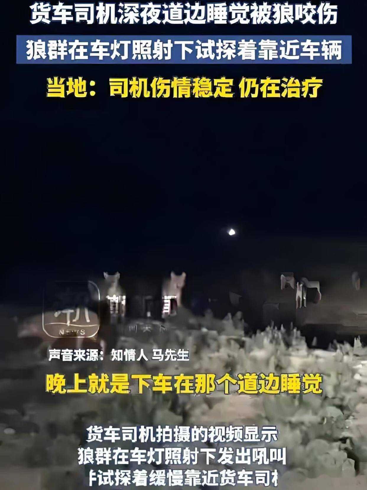 狼群社区论坛狼群社区论坛，网络交流的新天地-第1张图片