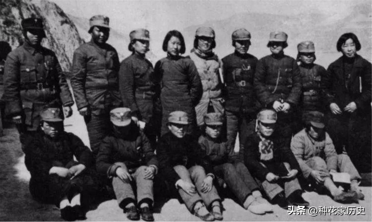 老太 沈阳沈阳老女人狂叫事件，深入探究与思考