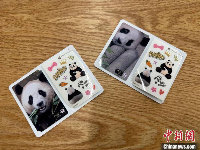 污性福宝探索污性福宝的魅力与内涵
