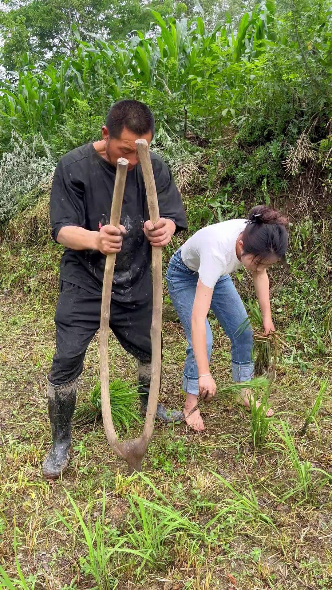 夫妻之间三十中插秧方法夫妻之间三十种插秧方法-第2张图片