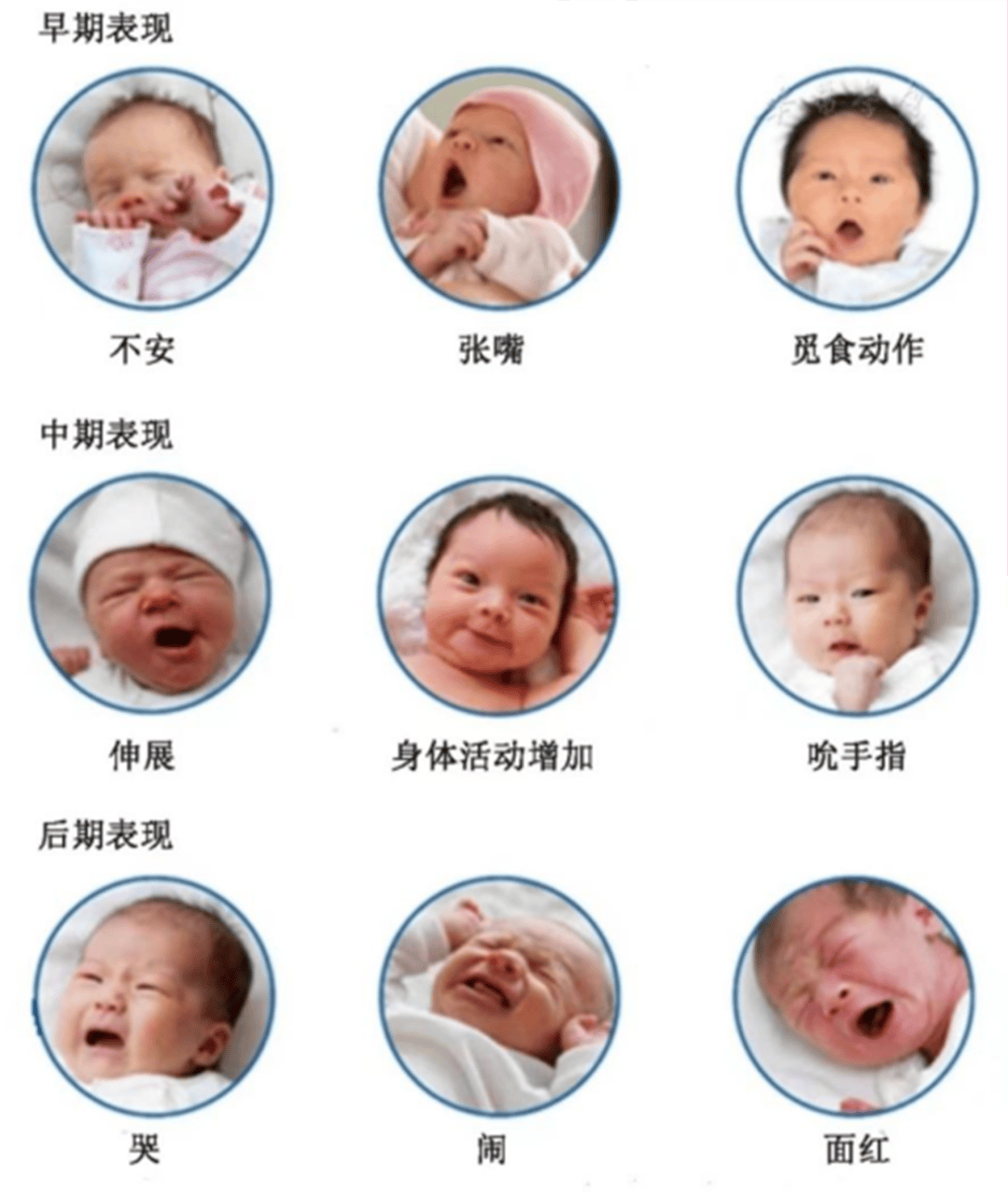 先喂下面那张嘴——饥饿与满足的智慧-第2张图片