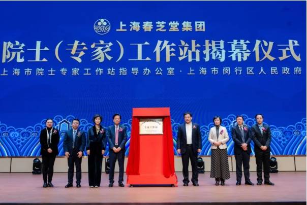 电车之狼3，深度解析与体验