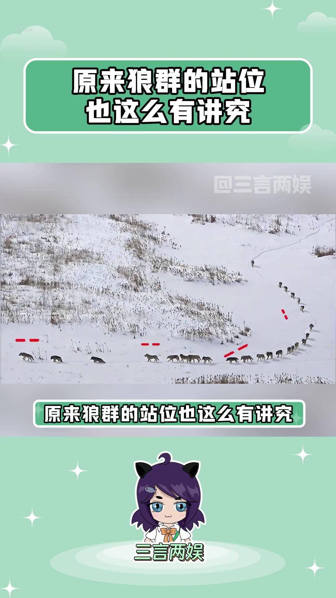 狼群社区视频在线观看日本探索狼群社区视频，在线观看日本文化