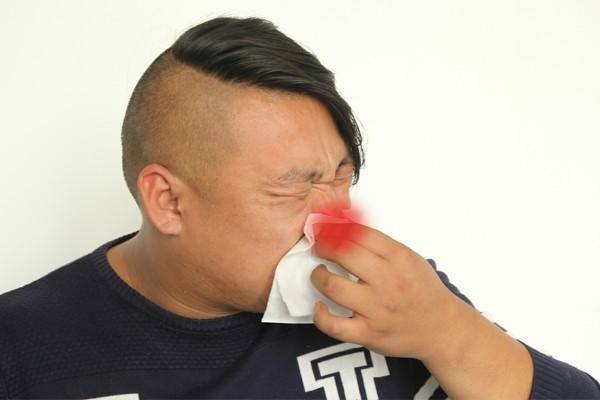 黄色免费网页探索黄色免费网页的奥秘-第1张图片