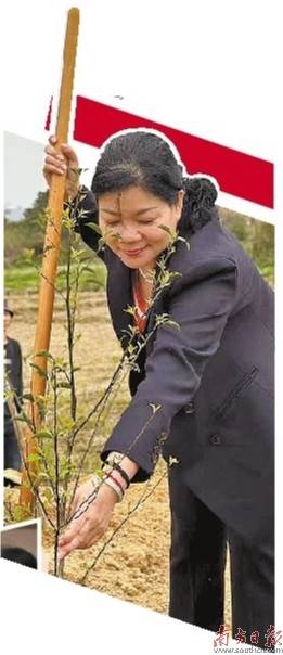 淑芬两腿中间又痒了淑芬的私密困扰，两腿之间的痒意难耐