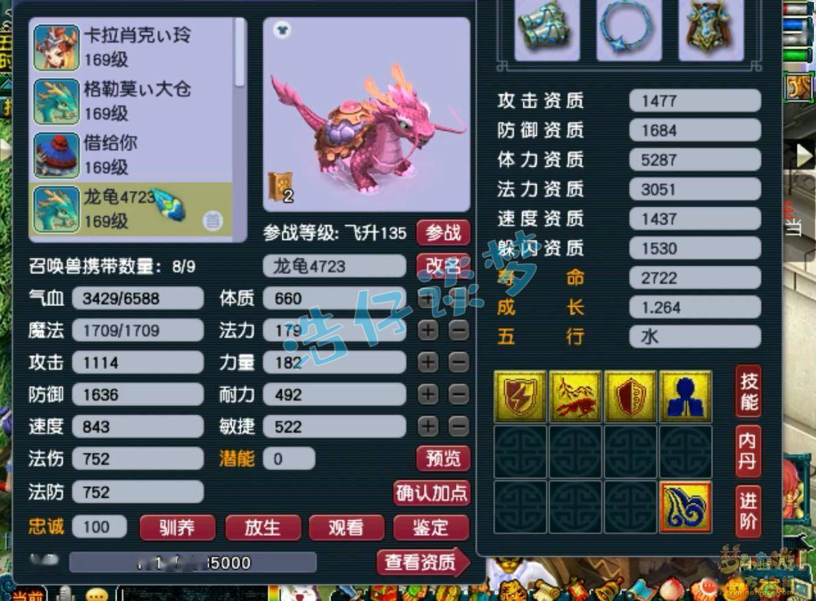 梦幻比武大会梦幻比武大会，荣耀与激情的碰撞-第3张图片