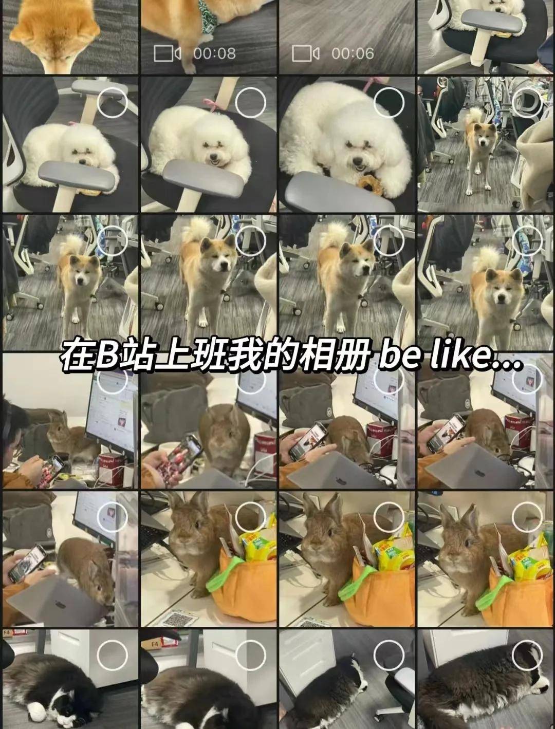 撸撸社图片的魅力与探索