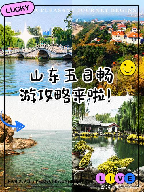 探索JAPONENSIS的魅力，JAVA1080MV的深度解析