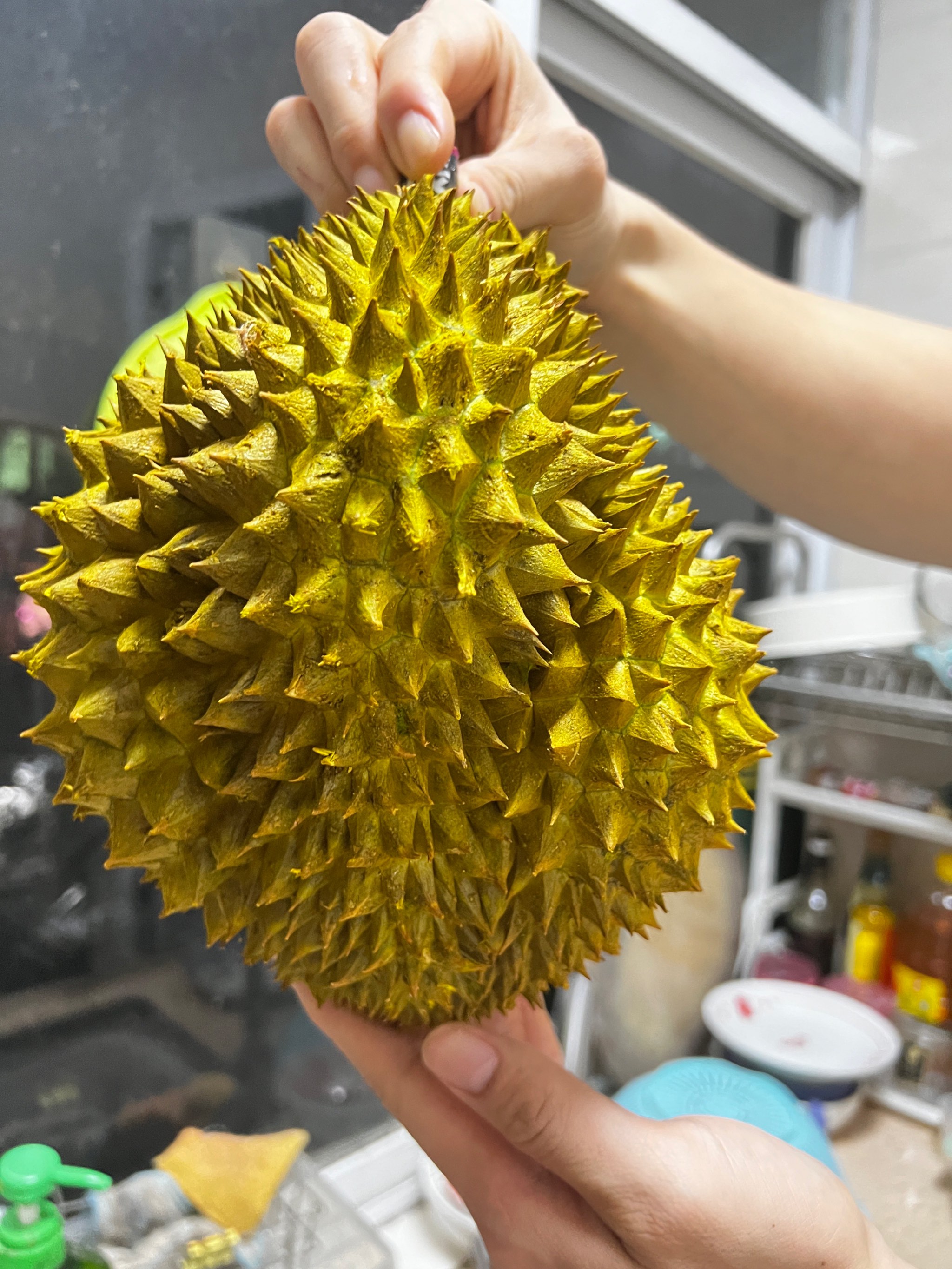 榴莲视频，最新免费版下载体验-第1张图片