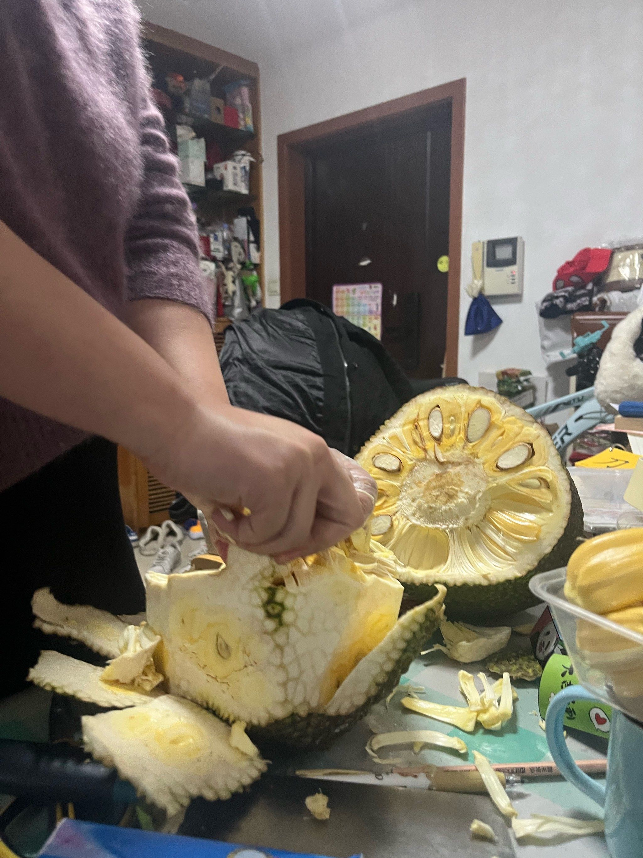 菠萝蜜视频免费播放高清菠萝蜜视频，免费播放高清的魅力之旅-第2张图片