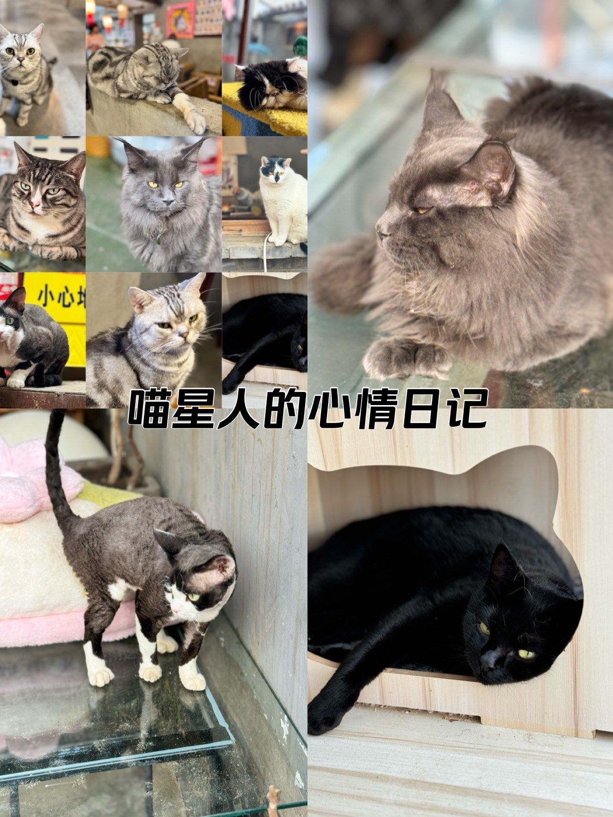 撸撸撸撸的奇妙世界-第3张图片