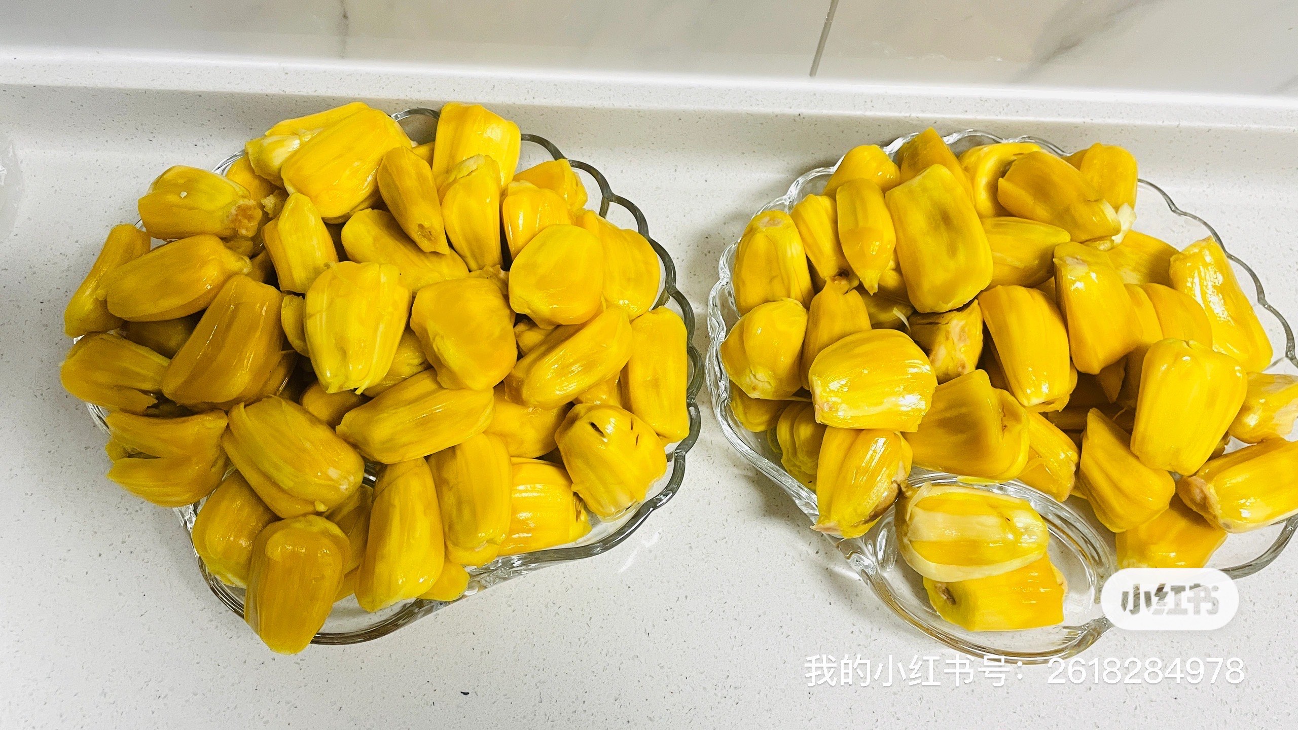 菠萝菠萝蜜视频在线观看 1菠萝菠萝蜜免费高清视频资源分享