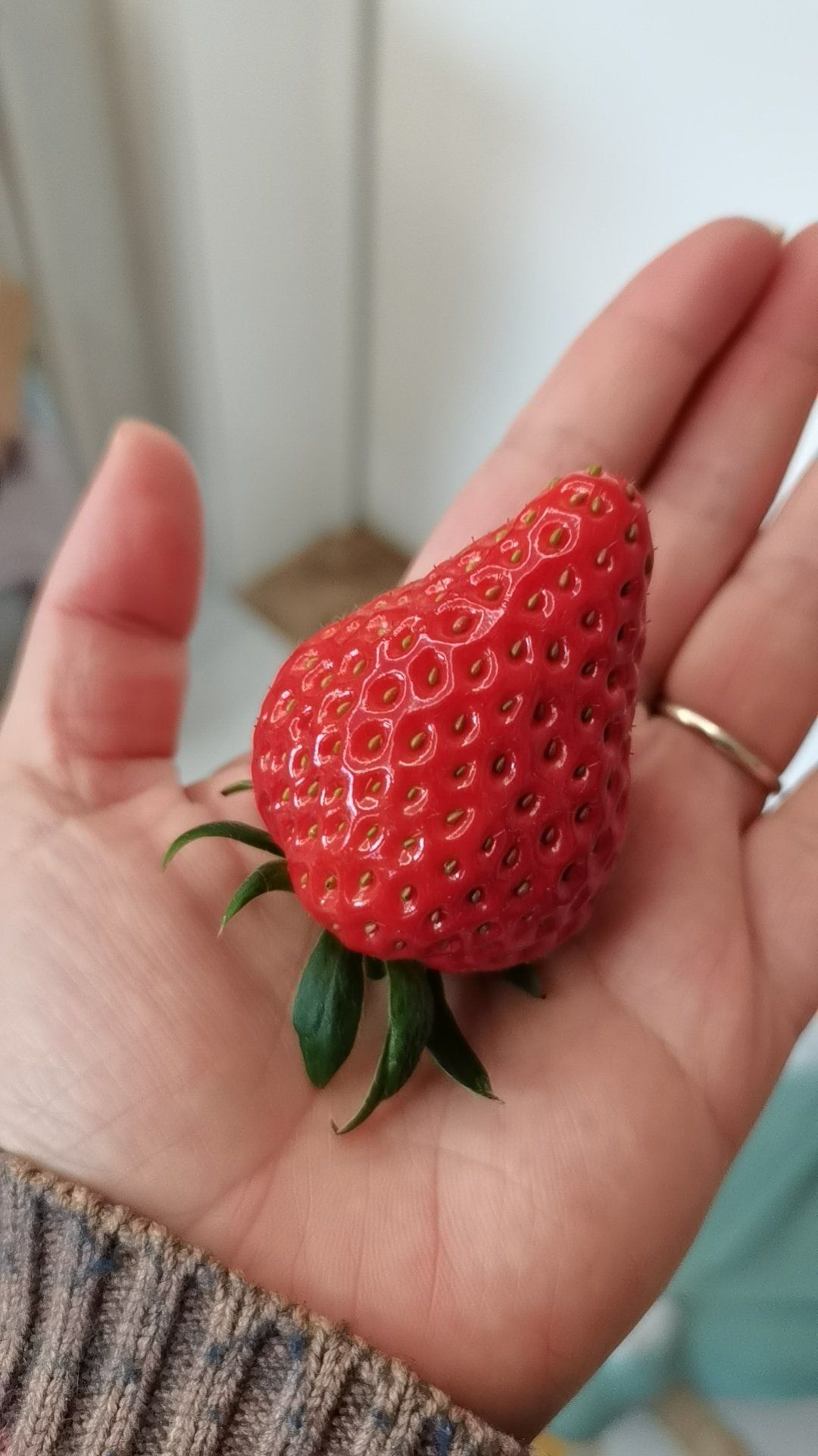 迈开腿让我看看你的草莓照片分享生活中的小确幸——草莓照片的魅力-第3张图片