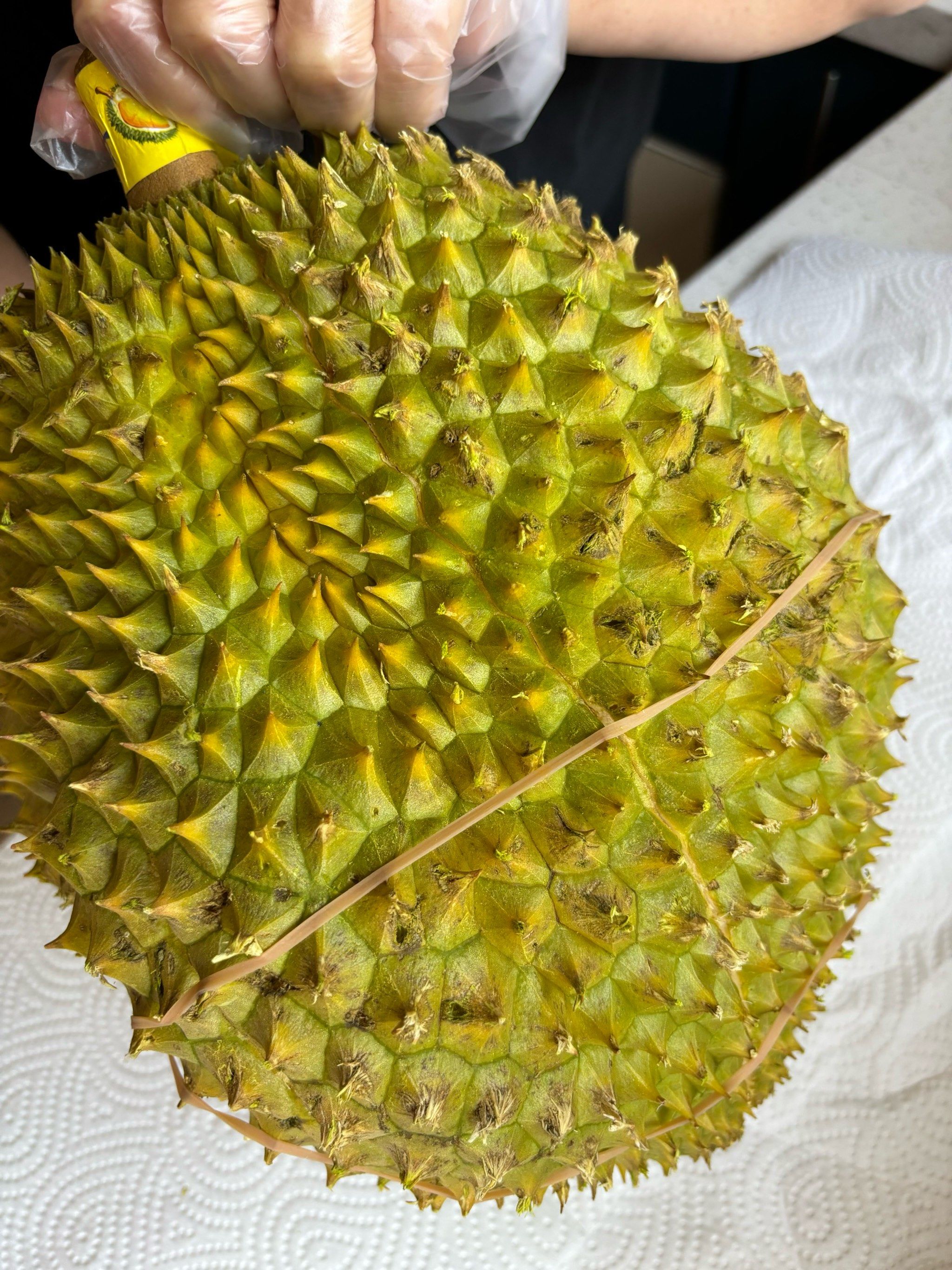 榴莲视频最新免费版下载榴莲视频，最新免费版下载指南-第2张图片