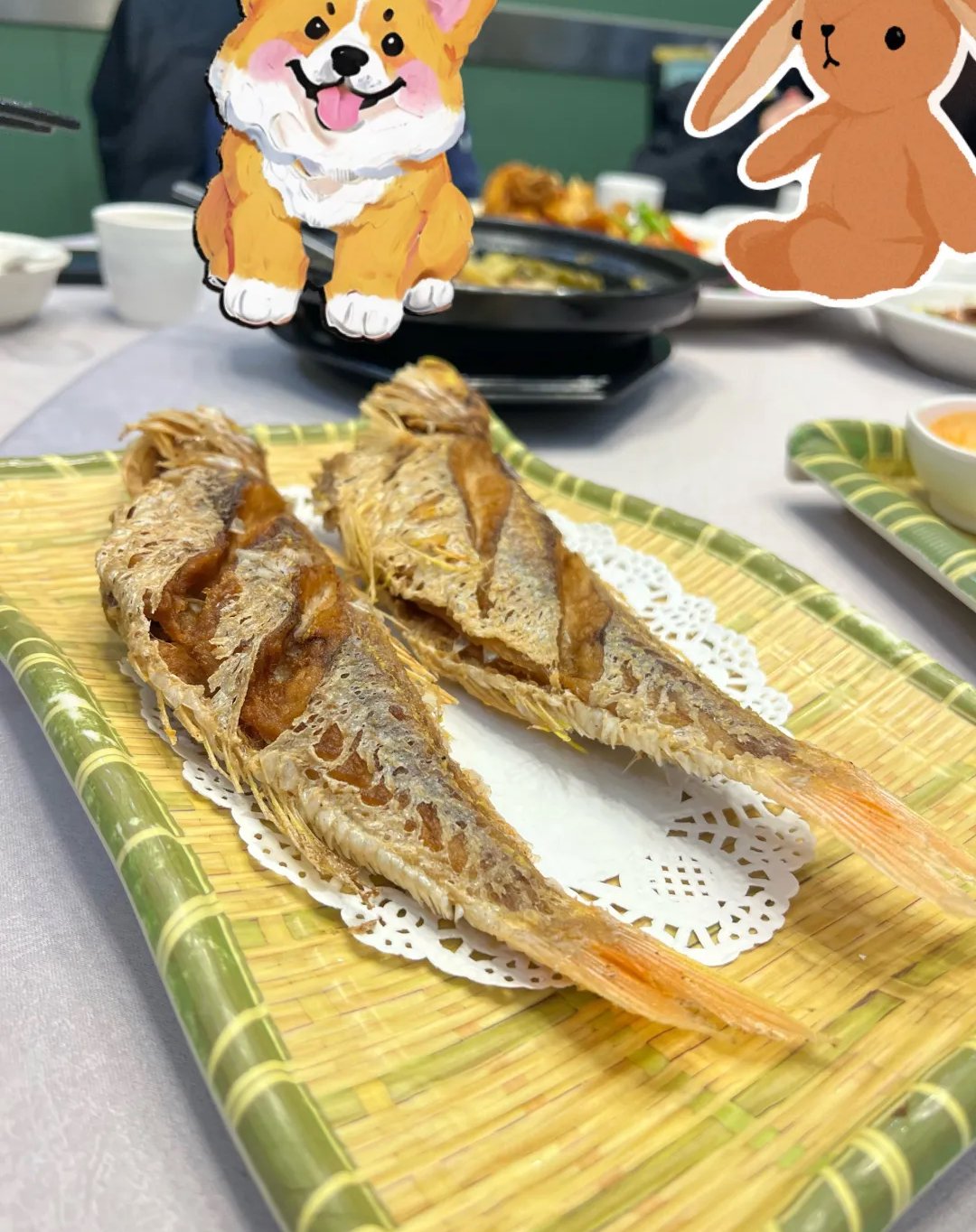 魔力美食，味觉的奇幻之旅
