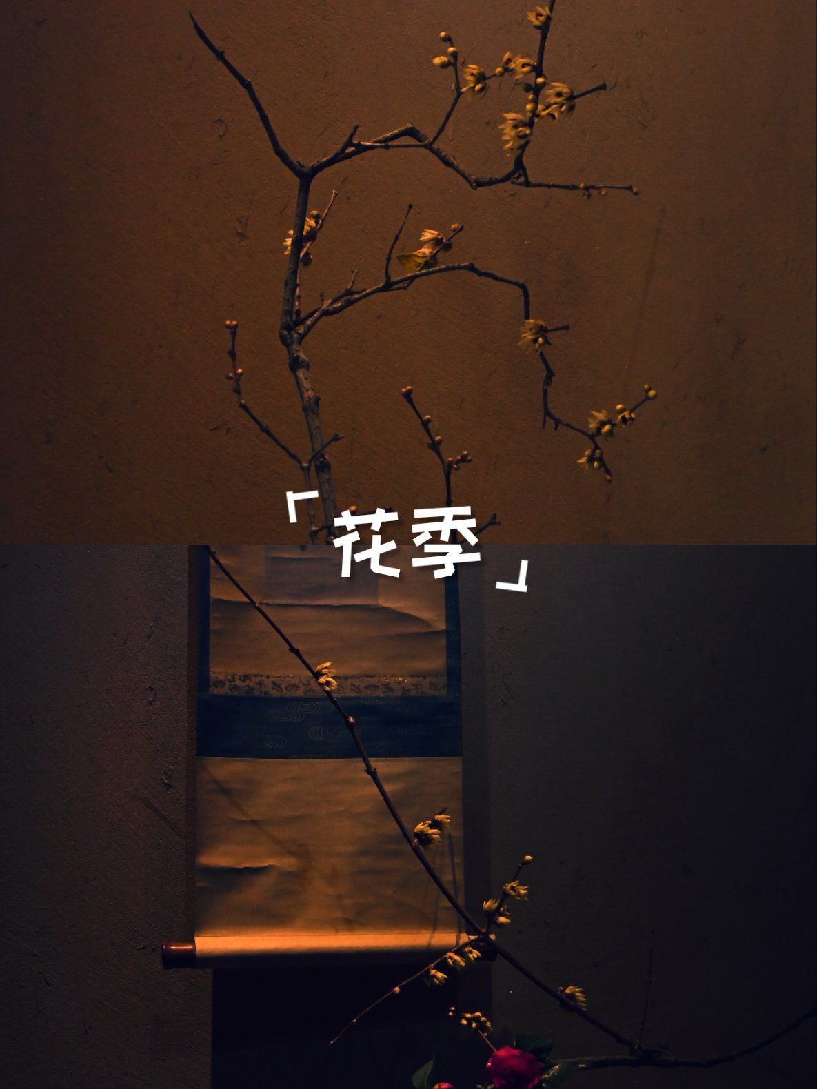 花季V3.072每天免费1次花季V3.072，每日免费体验一次，绽放你的精彩时刻
