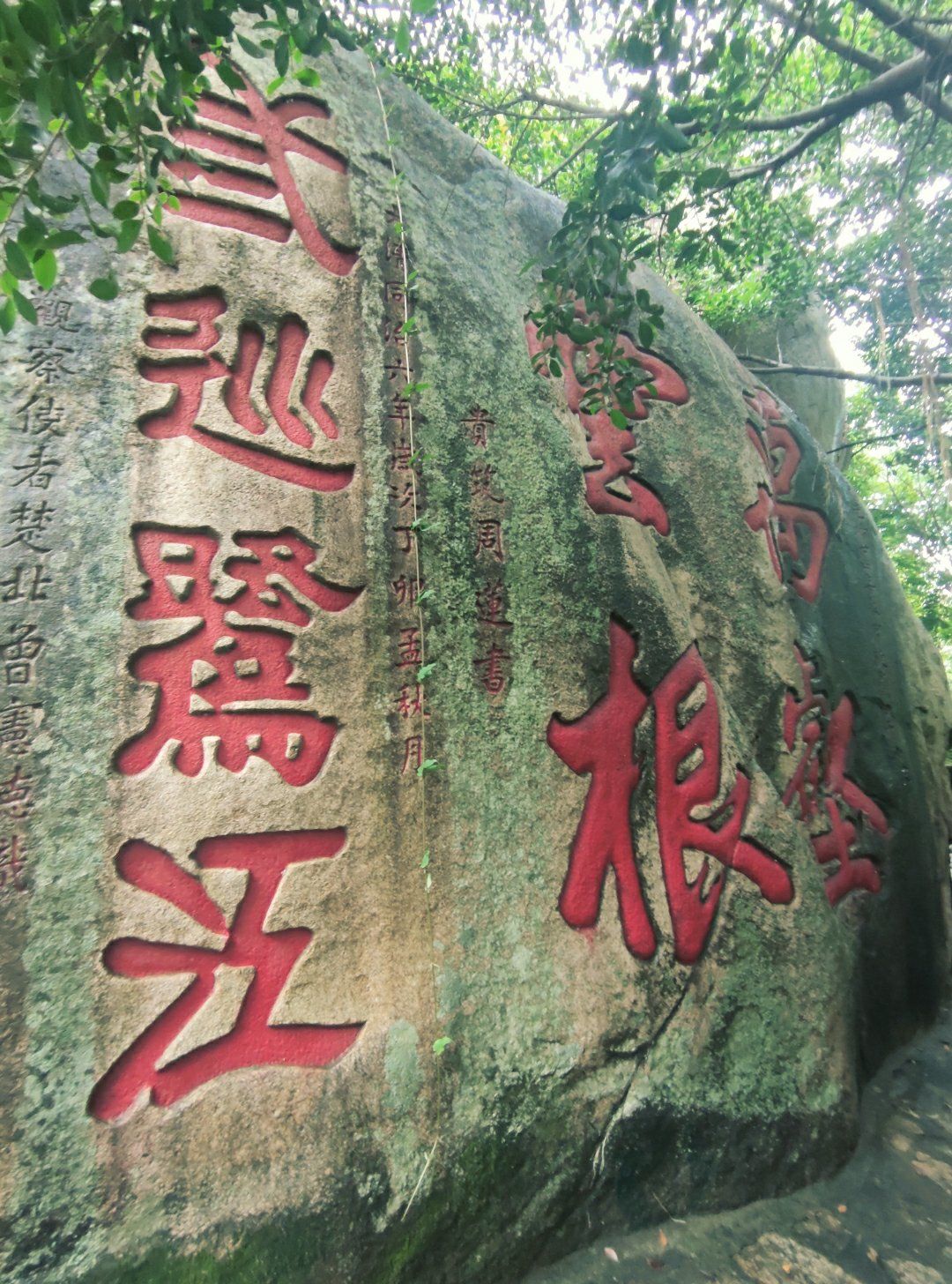 老师在学校无人的地方做那事老师私密行为揭秘，学校无人处的隐秘瞬间-第1张图片