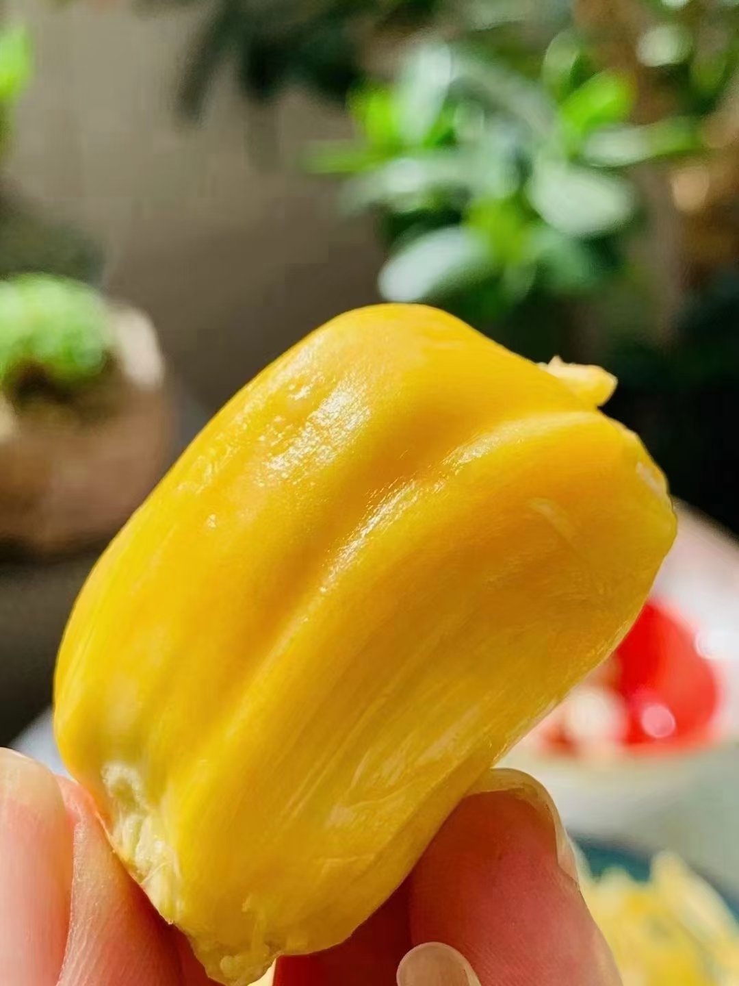 菠萝菠萝蜜视频在线播放观看高清菠萝菠萝蜜视频在线播放观看高清的精彩体验