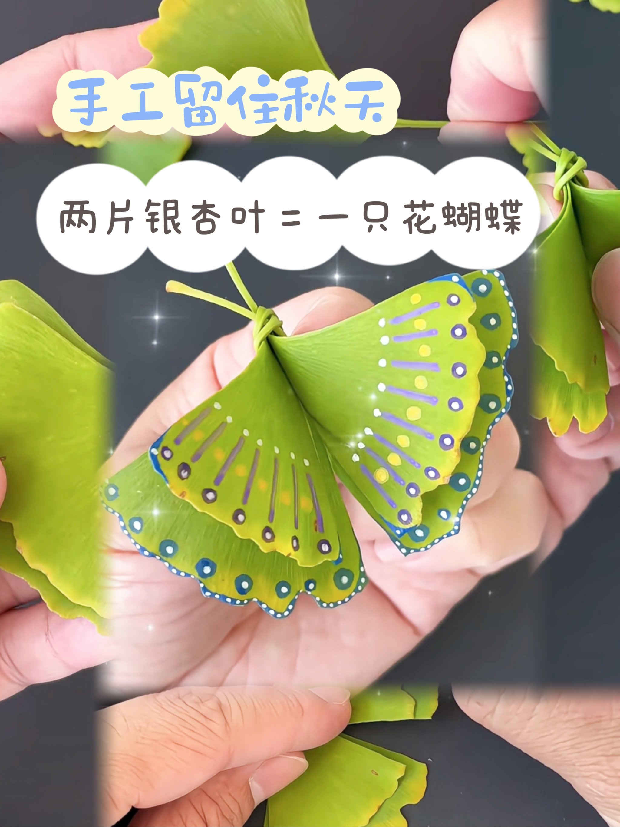 花蝴蝶www在线播放花蝴蝶的美丽世界，WWW在线的探索之旅-第2张图片