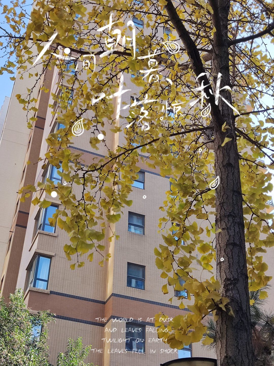 暖暖免费高清日本中文软件介绍暖暖的午后，免费欣赏高清日本中文影视的精彩世界-第2张图片