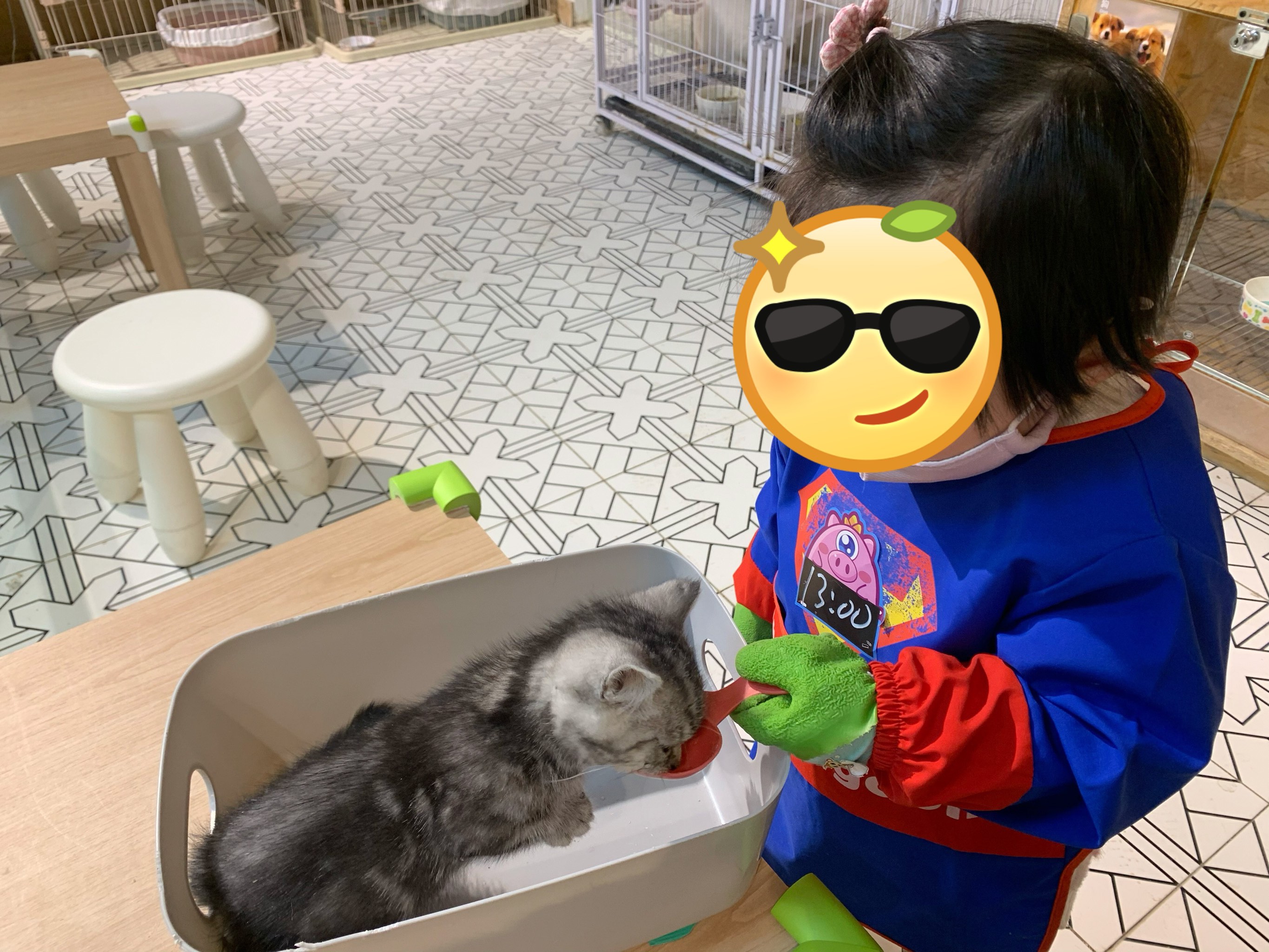 探索狠狠撸橙子色的魅力与深度-第2张图片
