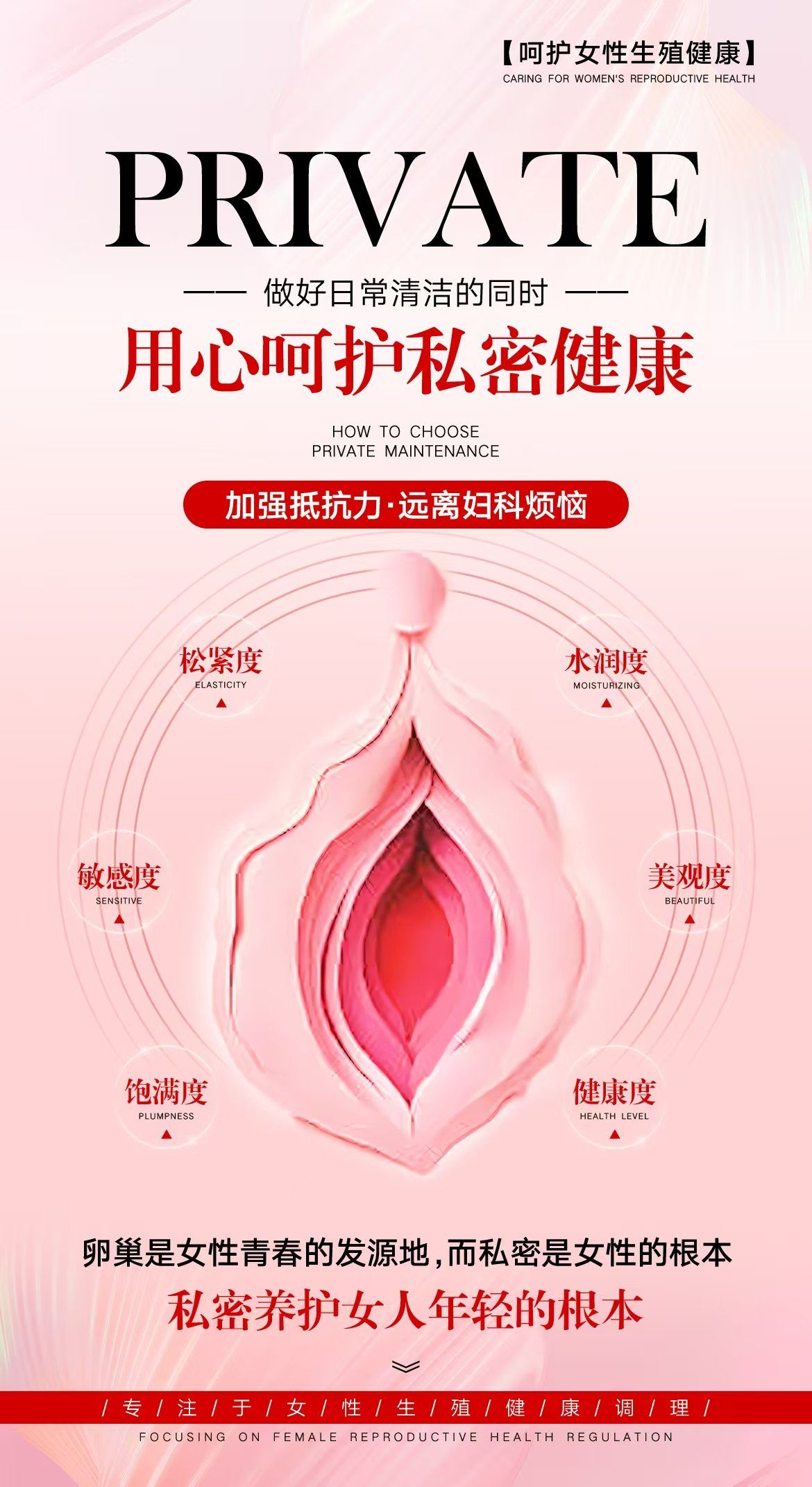 关于女性隐私的图像探讨-第1张图片