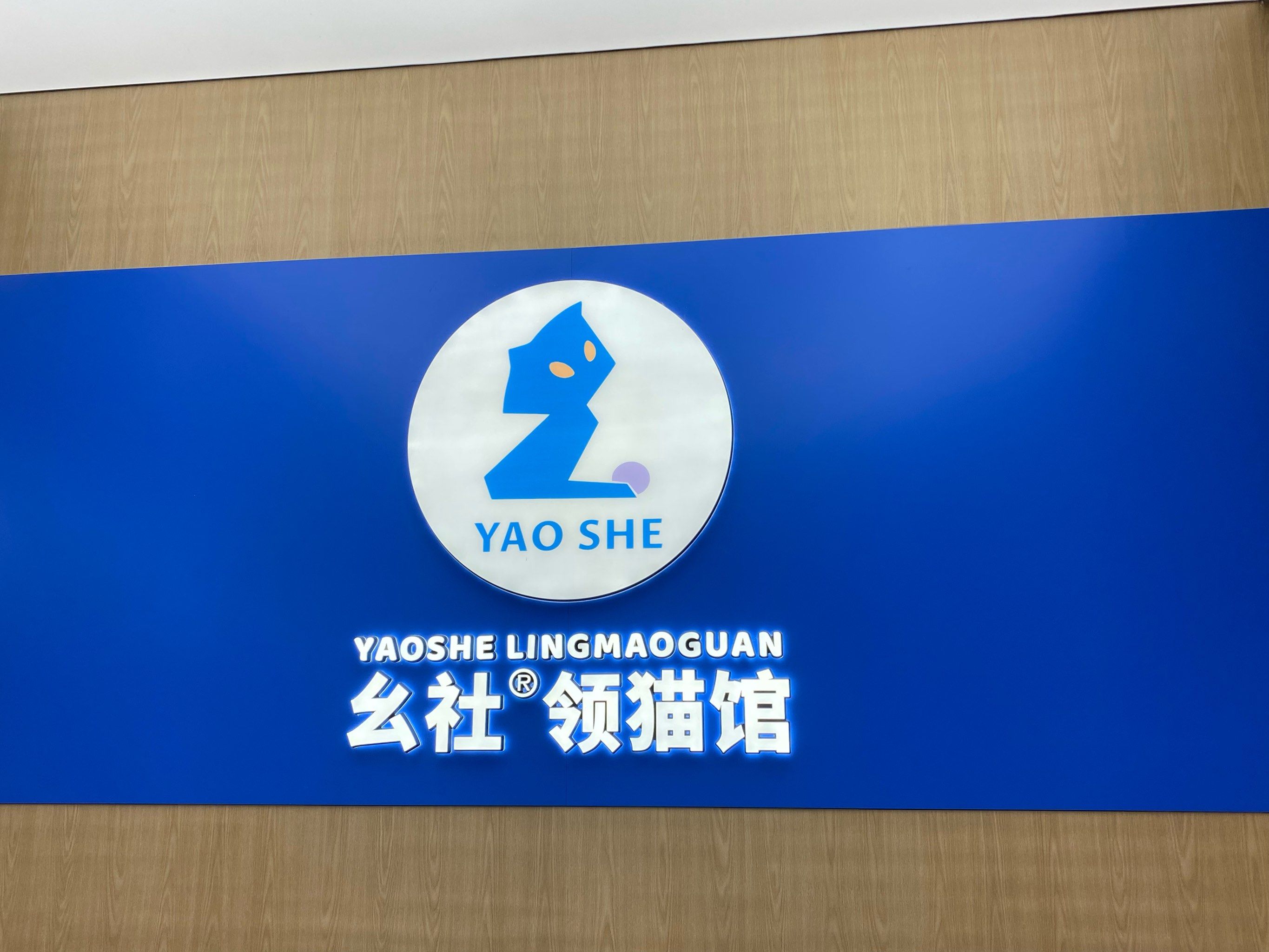 猫咪社区，免费视频在线观看的温馨乐园-第3张图片