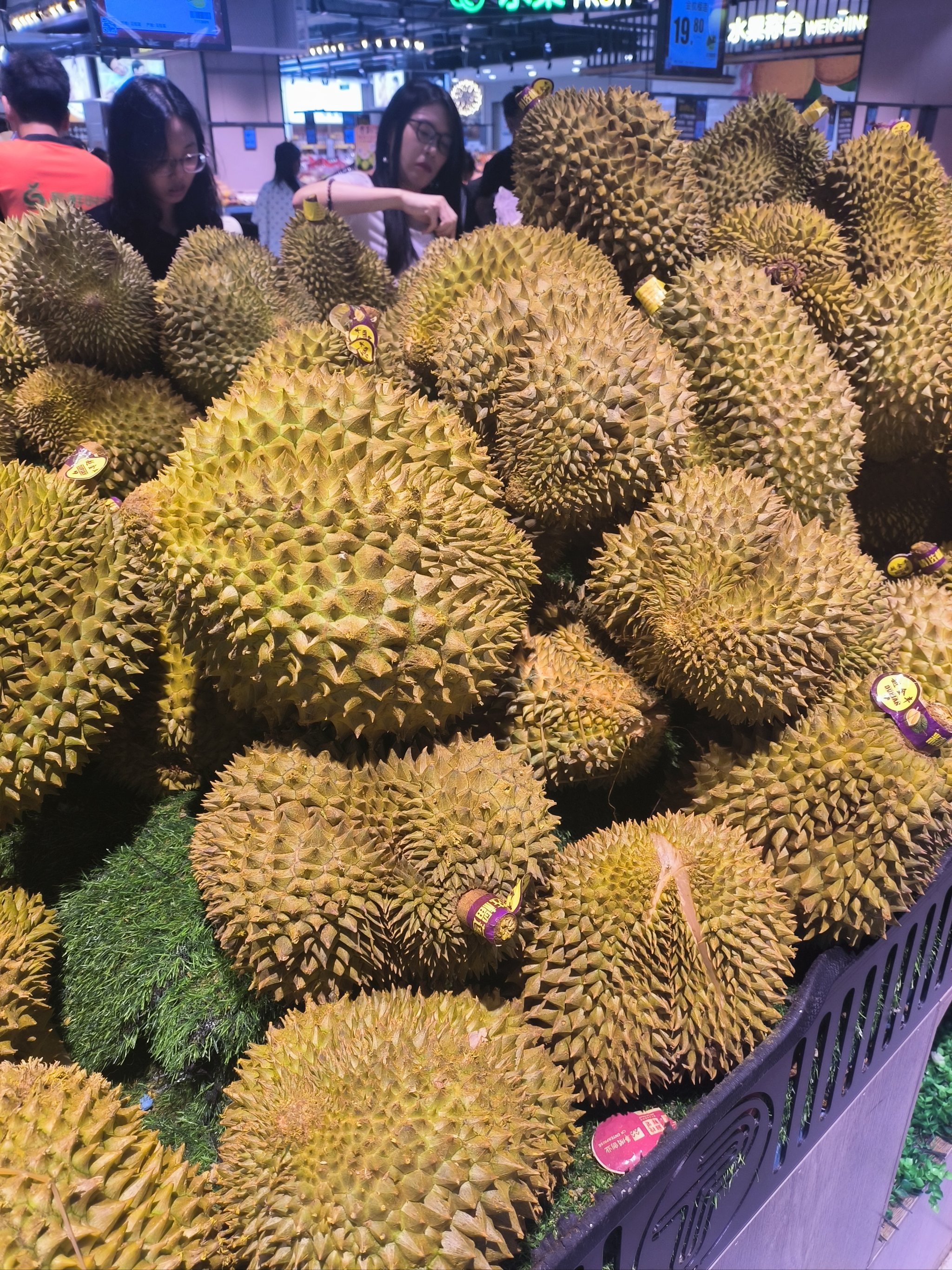 榴莲视频APP.免费观看下载榴莲视频APP，免费观看与下载的全新体验-第2张图片