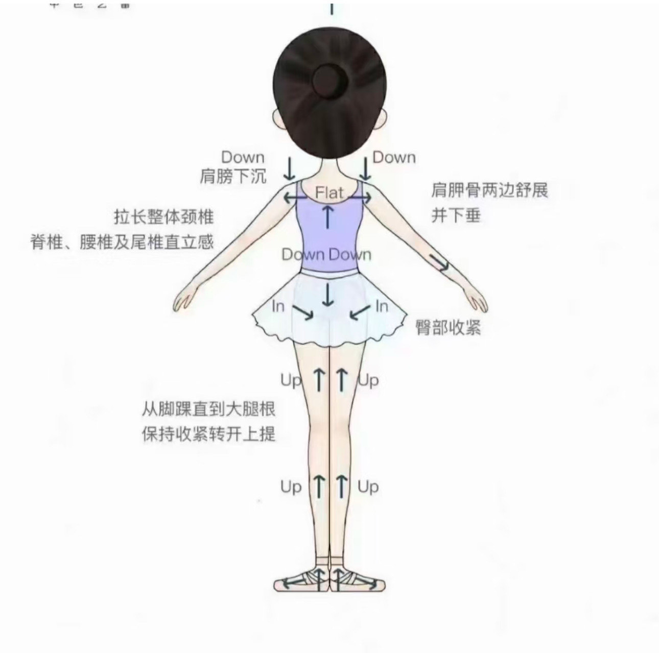 看我们结合的部位律动律动之美，看我们结合的部位如何共舞-第3张图片