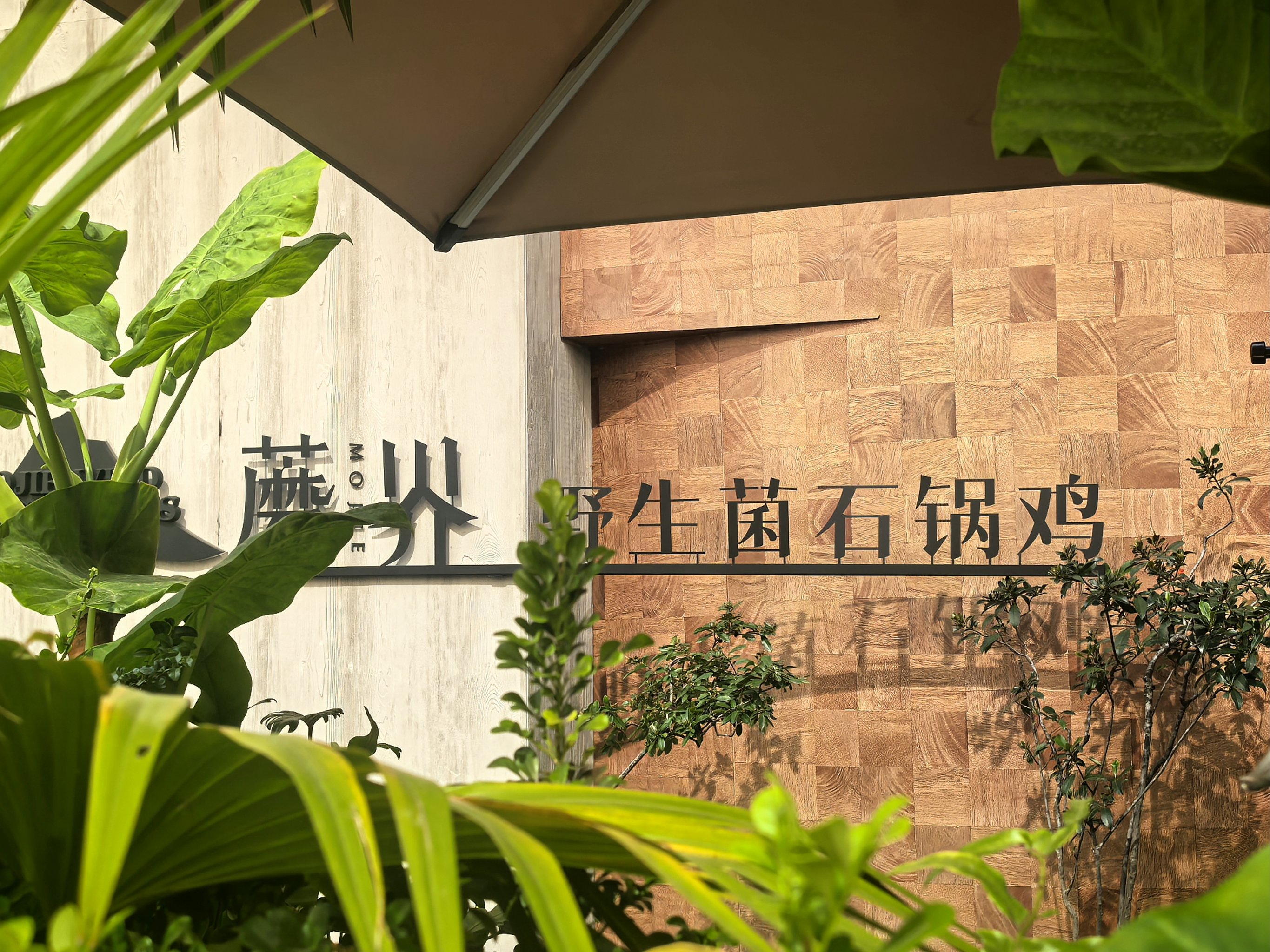 蘑菇家首页蘑菇家首页，探索与发现自然之美的门户