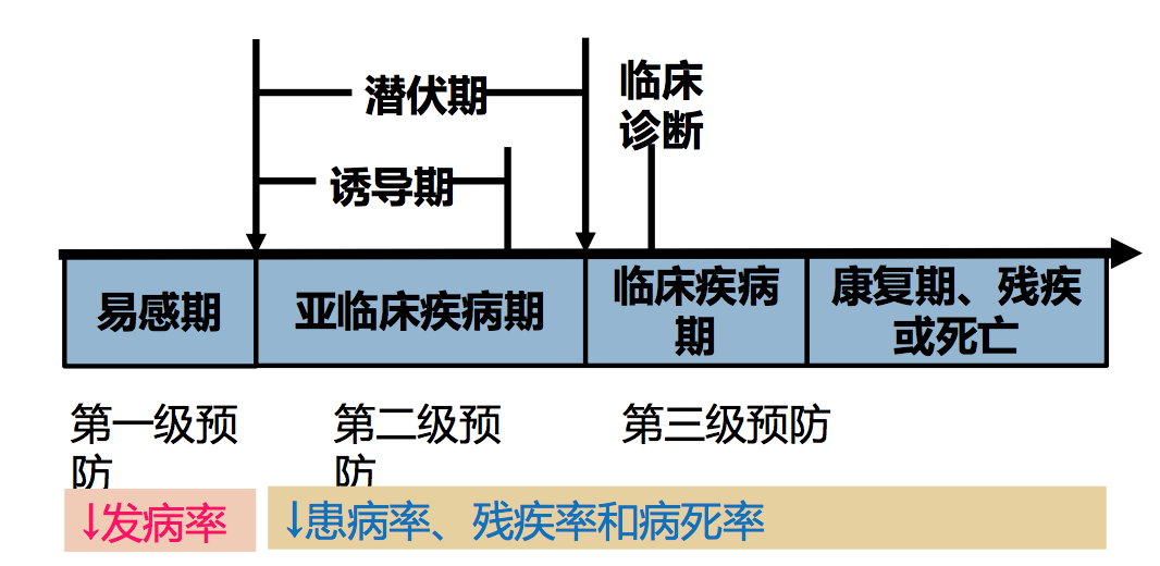 三级网站三级网站，定义、重要性及发展策略-第2张图片