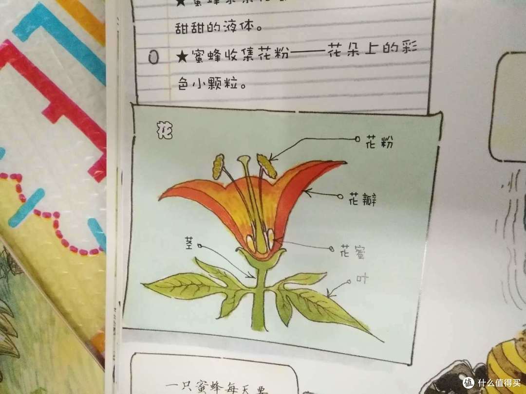 六年级小学生挤出白色的东西图片六年级小学生意外发现，一次关于白色物质的小探索-第1张图片