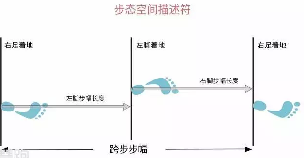 小东西的跑步之旅，如何巧妙地夹住并确保不掉-第3张图片