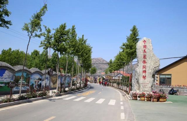 乡村同志乡村同志——那些年，我们共同走过的路-第1张图片