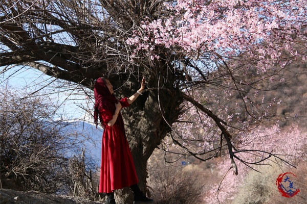 桃花直播免费观看桃花直播，免费观看的魅力之旅-第1张图片