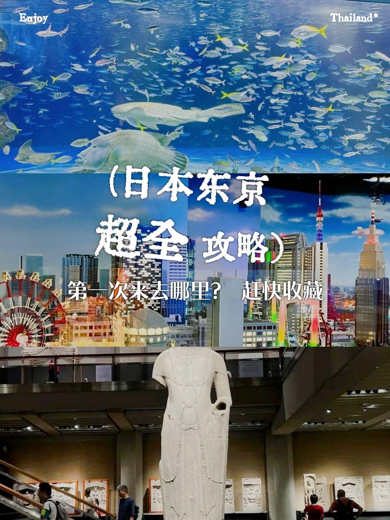 zzji日本探索zzji与日本文化的交融-第3张图片