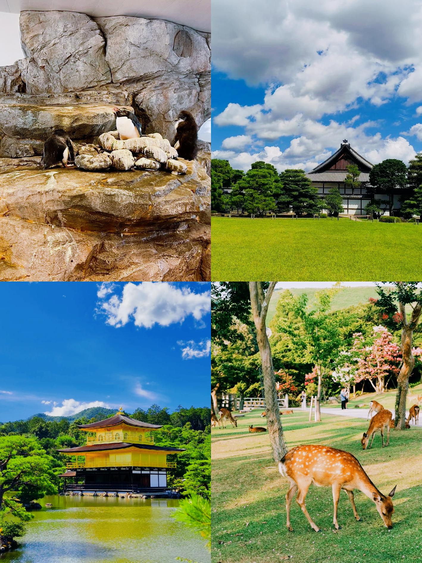 一二三四日本免费的使用体验探索一二三四日本免费之魅力-第2张图片