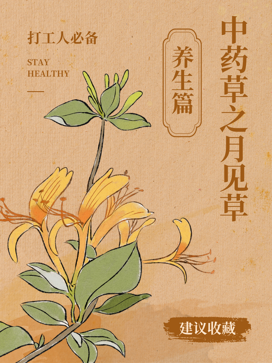 草留色区——自然的馈赠与生态的守护-第3张图片