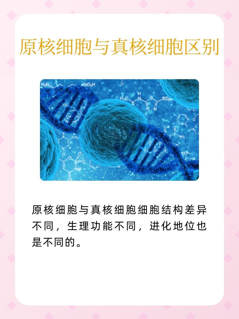 人体TV，探索生命奥秘的微观世界-第3张图片