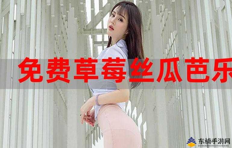 污秋葵草莓黄瓜荔枝丝瓜的安装与食用指南大全-第2张图片