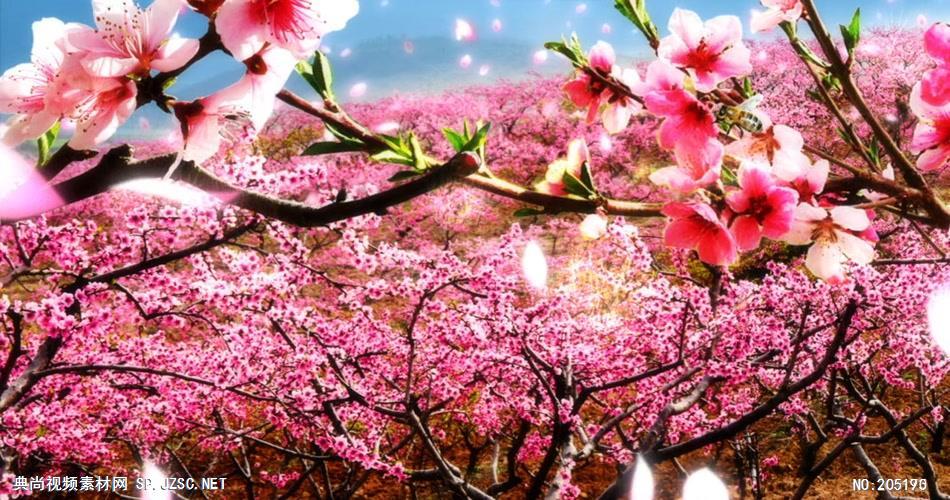 桃花视频，高清免费在线观看的精彩世界-第1张图片