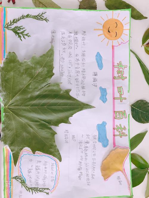 舌头上有个豆豆怎么办舌尖上的小豆豆与数字的奇妙之旅，画9与画6的双重体验