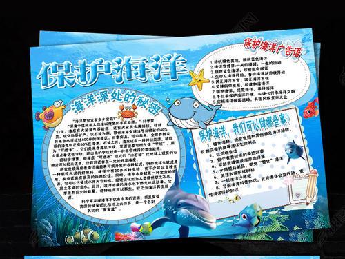小776论坛，网络交流的桥梁与知识的海洋-第3张图片