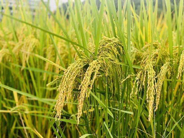 亩找出20个字亩的探索与意义-第3张图片