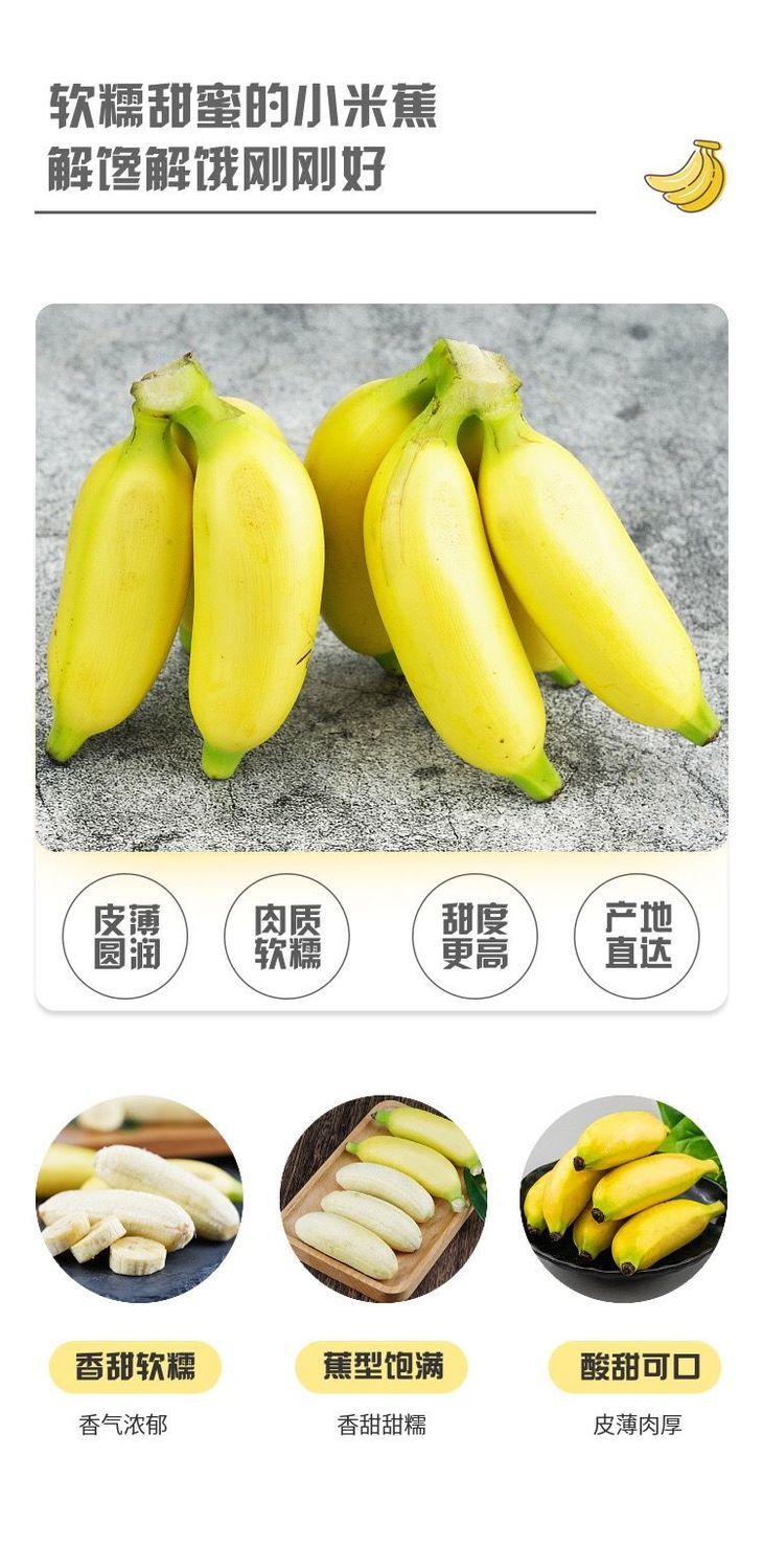 香蕉频蕉app官网下载——探索便捷的娱乐新体验-第3张图片